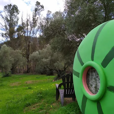 Sandia Jimera de Líbar