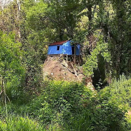 Campo de lujo Sandía *